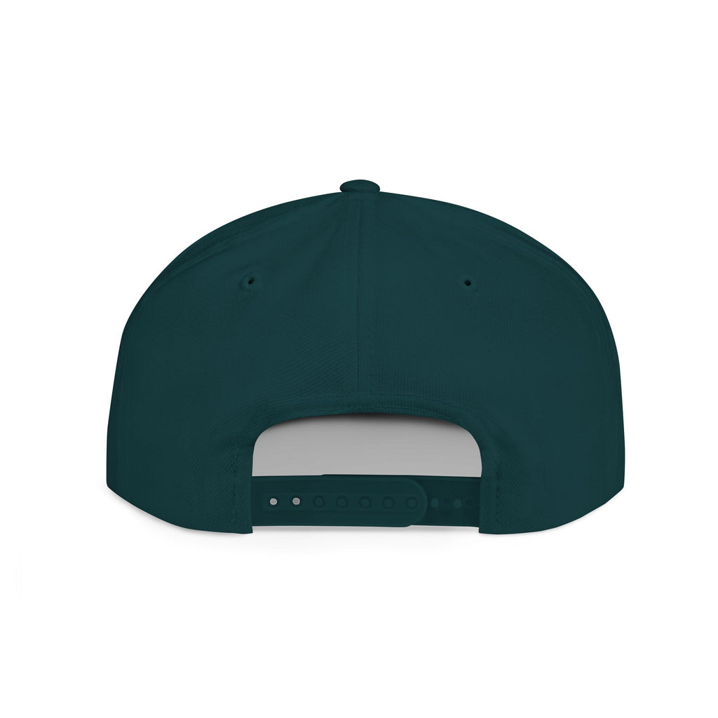 INVERTED CHASSI CO FLAT BILL