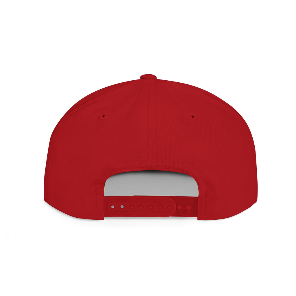 INVERTED CHASSI CO FLAT BILL
