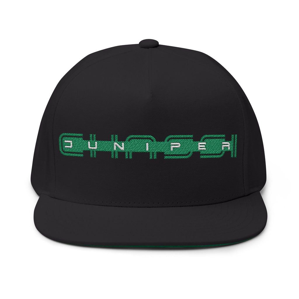 JUNIPER GEN 1 DRIP: Embroidered Flat Bill